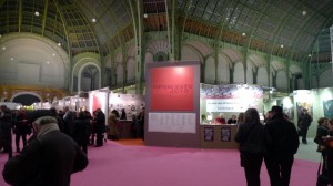 Vue de l'intérieur du Grand palais, salon Comparaisons