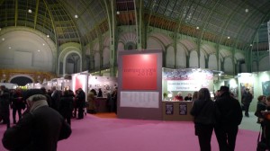 Vue de l'intérieur du Grand palais, salon Comparaisons