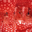 Yayoi Kusama expose à Paris