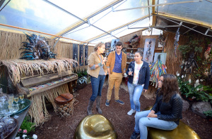 Exposition de Fil de plumes