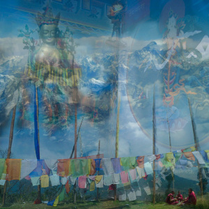 Composition photographique de Maya leutert